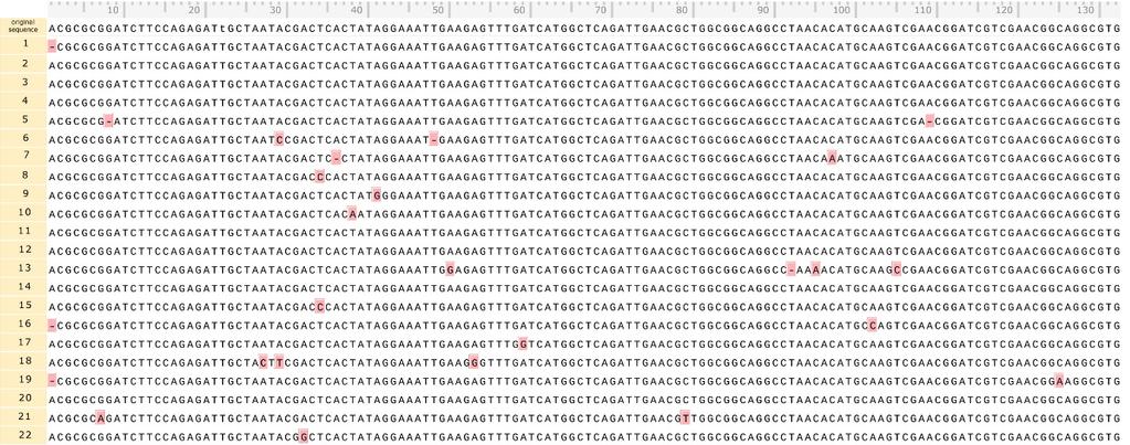 Supplementary Figure S16 Alignment of Sanger-sequenced PCR amplicons with original template sequence.