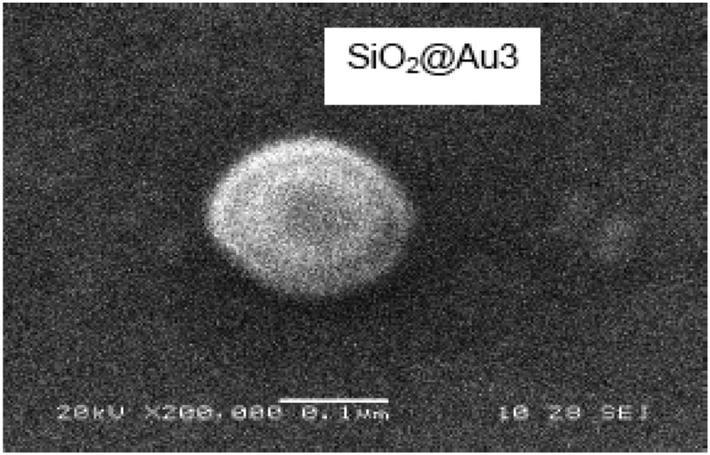 Deepika Kandpal, Suchita Kalele and S K Kulkarni Figure 6. SEM pictures of silica gold core-shell nanoparticles after the third coating method (c). Figure 7.