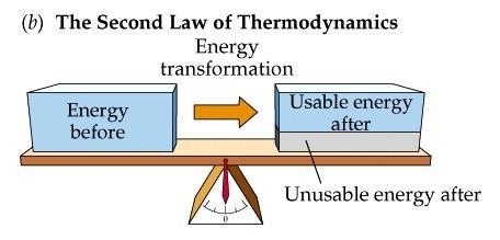 An rganism's metablism transfrms matter and energy, subject t the laws f thermdynamics 8.