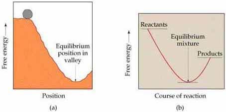 Energy f Life 8.2 The free-energy change f a reactin tells us whether r nt the reactin ccurs spntaneusly A system at equilibrium is at maximum stability.