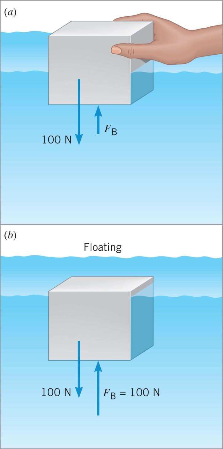 11.6 Archimedes Principle If the object is floating then the
