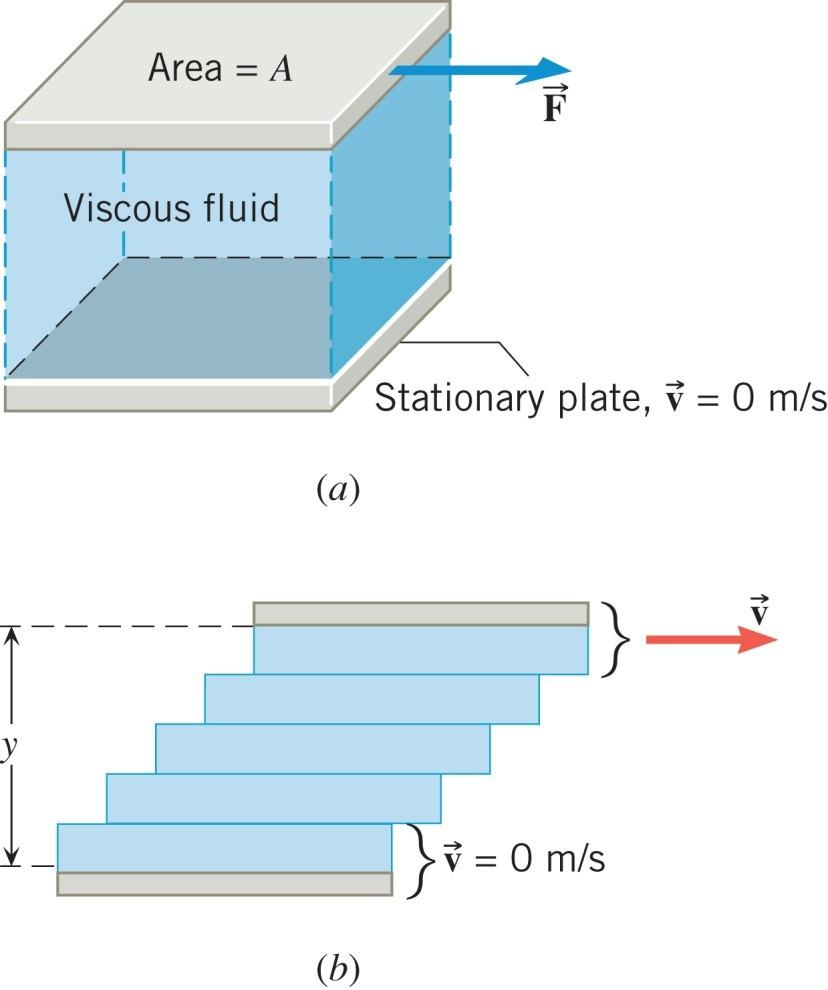 11.11 Viscous Flow FORCE NEEDED TO MOVE A LAYER OF VISCOUS FLUID WITH CONSTANT VELOCITY The magnitude of the tangential force required to move a fluid
