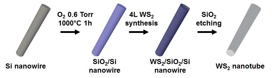 WS 2 Nanotubes