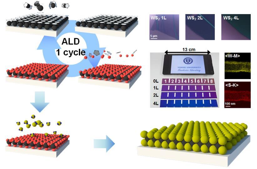 Summary ALD based WS 2 nanosheets show several advantages of ALD Atomic scale thickness control, Wafer-scale uniformity, Conformality Super-cycle ALD