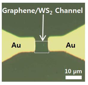 Graphene/WS 2 Photo-Detector <OM image> <Transfer curve> <Output curve> Transferred CVD Gr