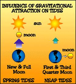 Rules of Gravity Gravitational force is SMALL Between objects that have a SMALL MASS Gravitational force is LARGE