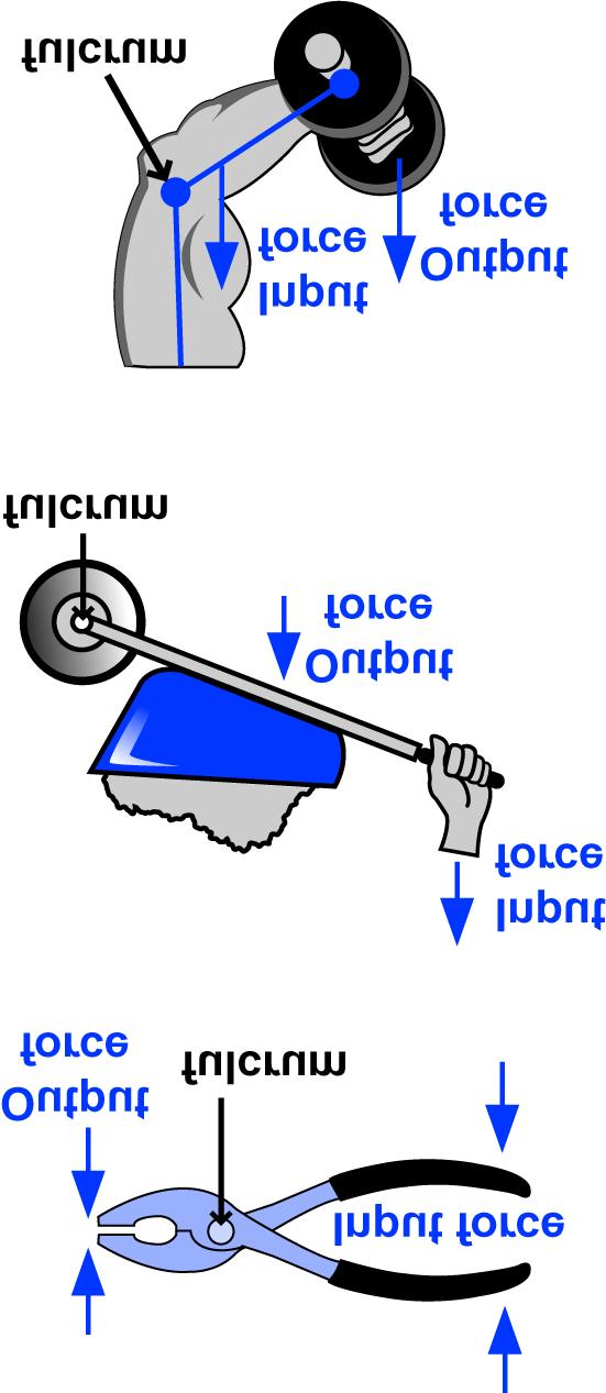 Levers are used everywhere Your muscles and skeleton use levers Parts of the lever How it works The principle of the lever has been used since before humans had written language.