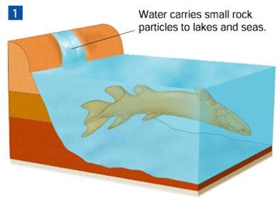 Water carries small rock particles to lakes and seas.