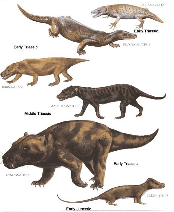 beginning of the Triassic Period come from?