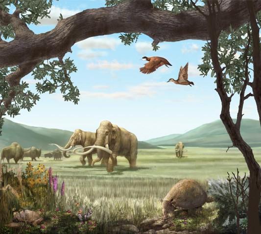 did the species at the beginning of the Cenozoic Era come from?