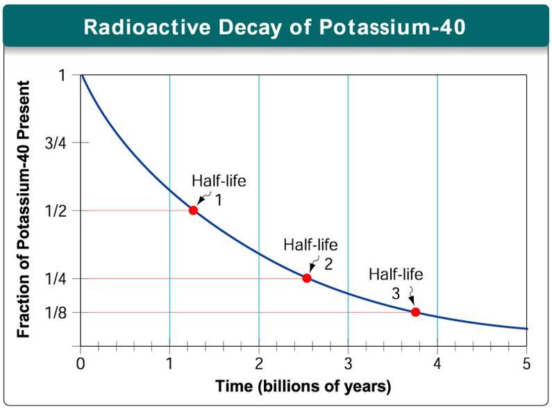 Interpreting Fossil Evidence Absolute Dating Define absolute dating. Define radioactive isotope. Define radioactive decay. Define half-life. Define radiometric dating. Study the graph.