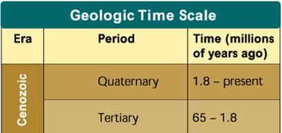 Geologic Time Scale Translate Cenozoic.