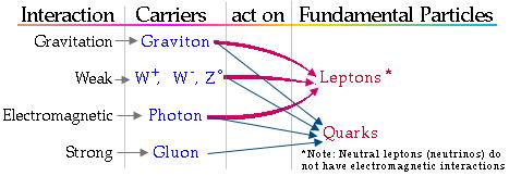 bottom Leptons: electron, muon, tau, + their neutrinos Force particles Gauge Bosons o γ (electromagnetic