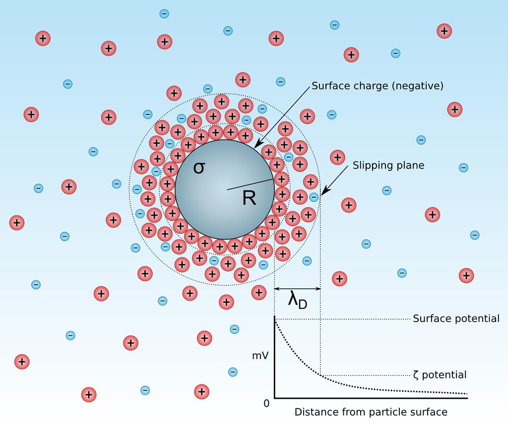 Figure 5: A negatively charged colloid at rest with surface charge σ and radius R is located in an electrolyte with two species. Counterions are attracted and form a electrical double layer (EDL).