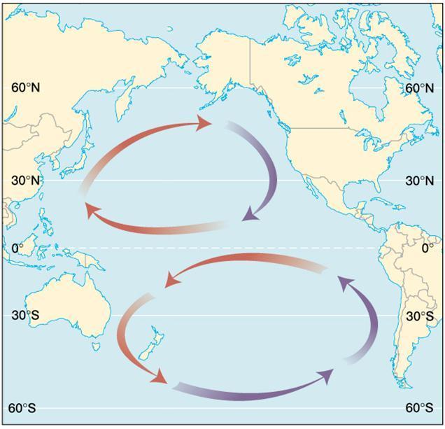 General Circulation of the Oceans Transfers heat and cool water around the globe, and affects