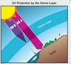 Stratosphere This occurs because of ozone.
