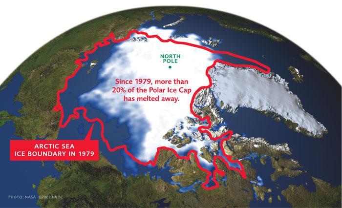 Is Global Warming Melting Ice Caps?