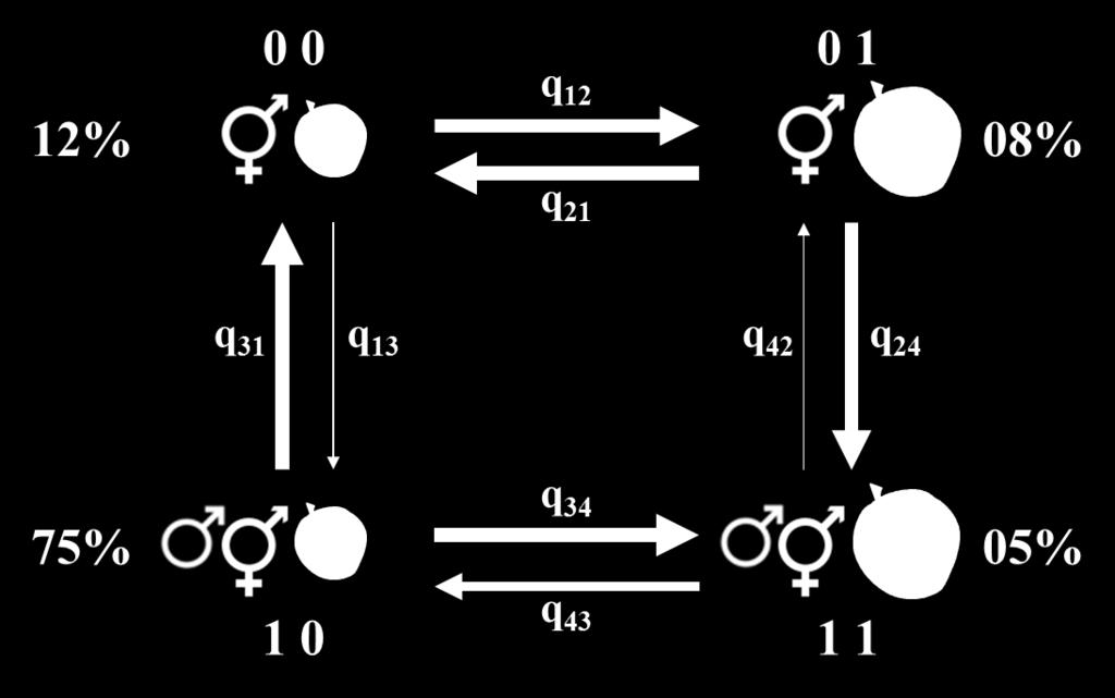 andromonoecious) and corolla size (0 = small; 1 = large), (B) sex system and fruit diameter (0 = small; 1 = large) with four