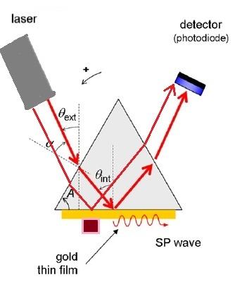 My Predictions Refractive index measurement and microscopy using SPR At angle of Gold/Air