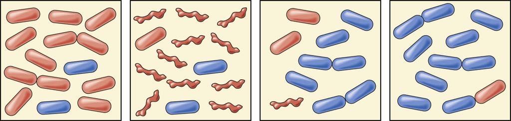 Evolution By Natural Selection (a) A group of bacteria, including genetically resistant ones, are exposed to an antibiotic. (b) Most of the normal bacteria die.