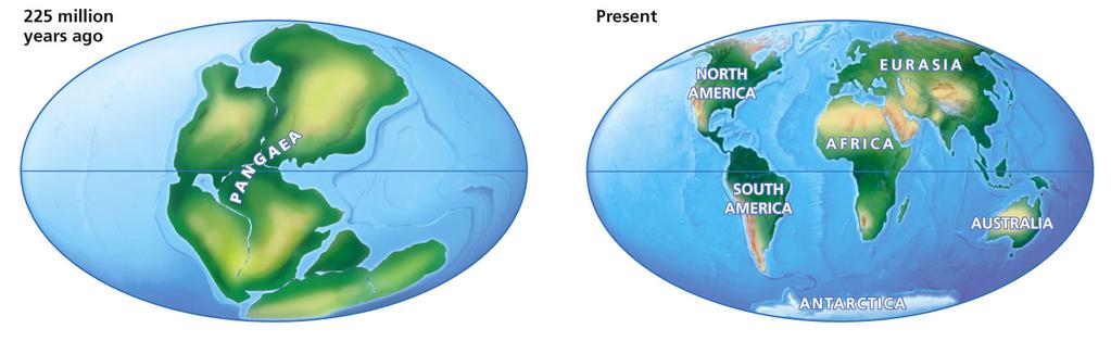 Movement of Earth s Tectonic Plates Climate change and catastrophes affect natural selection Cooling and warming periods have covered much of the earth with glacial ice, or melted the ice and