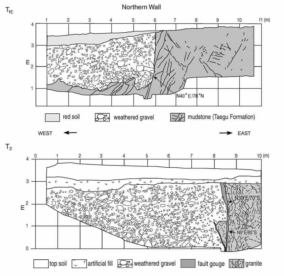 Paleoseismology of the Yangsan Fault, southeastern part of the Korean Peninsula ward about 80 N. The fault was covered with highly weathered reddish soil.