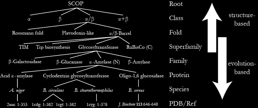 Classification of Protein Structures - The SCOP Database Chothia, Murzin (Cambridge) Hand-curated hierarchical