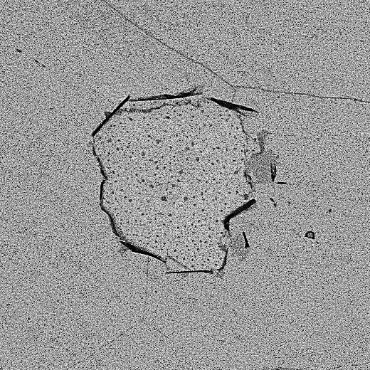 (A-B) A representative SEM image of the Gr/Cu surface after etching by an