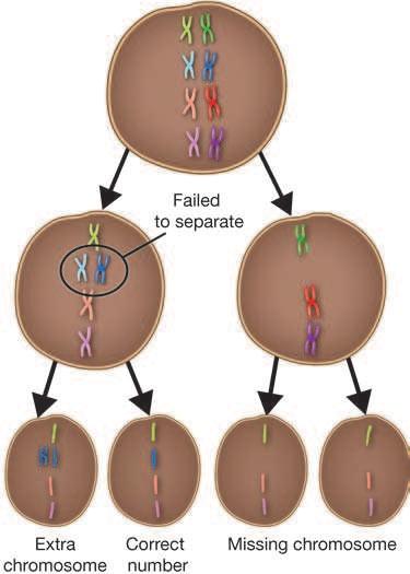 Mutations What are mutations? Gene mutations Usually, the processes of DNA replication and meiosis happen without mistakes. However, mistakes do happen. Those mistakes are called mutations.