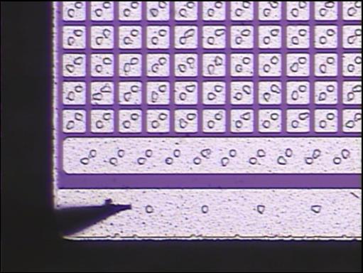 sensors (30 µm and 50 µm edge distance) Rectangular