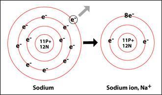 Changing Electrons Neutral atoms have the same number of protons as electrons, balancing the