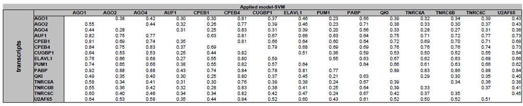 Table S9 - Specificity calculated on each RBP+ set for AURA dataset The specificities are shown for SVMs trained on RBP+ sets (column) and applied on the