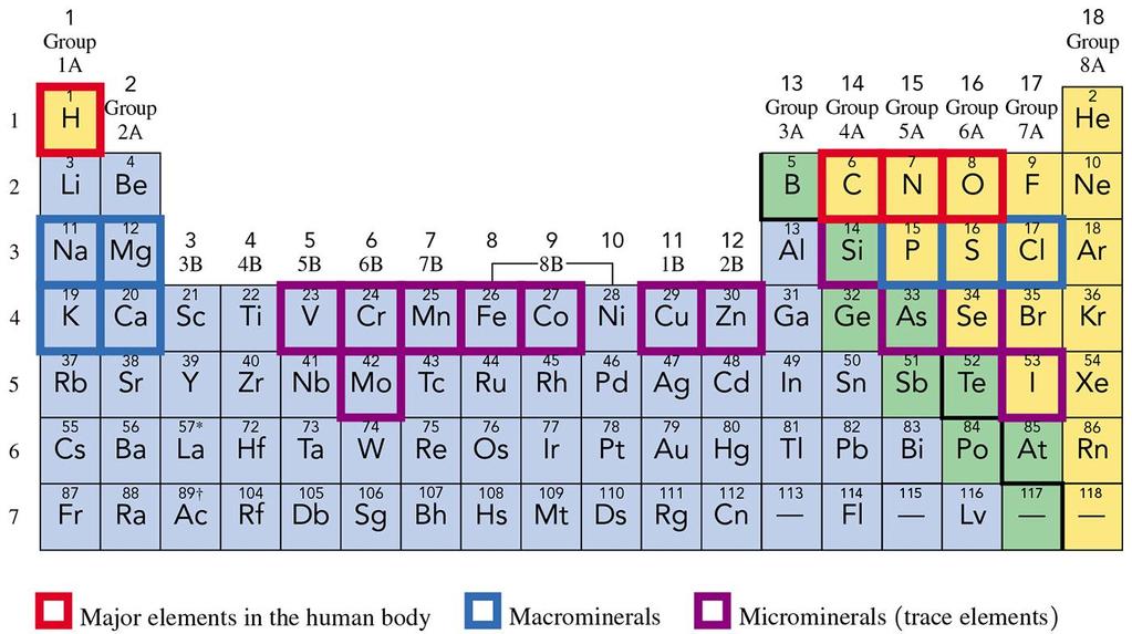 FYI: Elements Essential to Health Of all the elements, 23