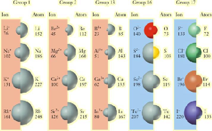 Losing electrons reduces electron-electron repulsion. Remaining electrons are more tightly bound to the nucleus.