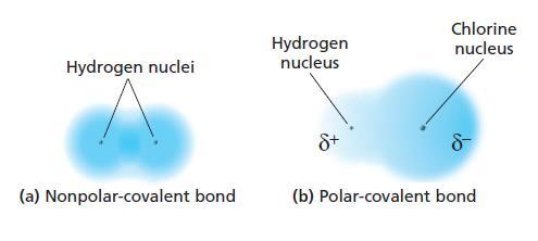 covalent bond Covalent bond in which the bonding electrons are shared