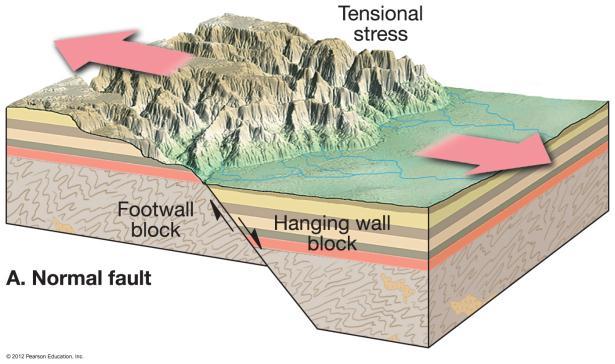 Hanging wall block moves down Associated with fault-block mountains Prevalent