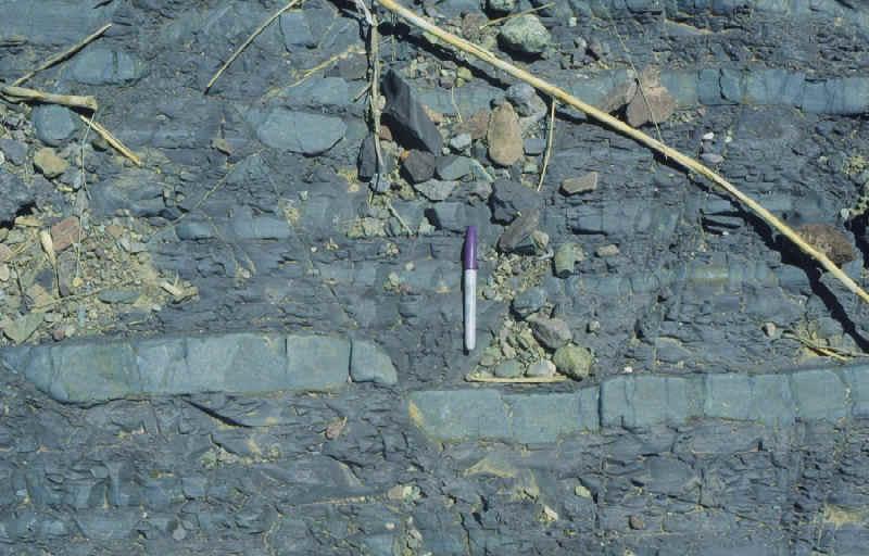 Small normal fault http://www.uwsp.