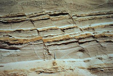 Normal faults http://www.geology.