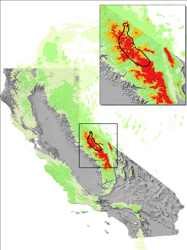 General approach Select (near) endemic taxa (>75% range in CA) 26 species 130 subspecies Estimate ranges @ 1km resolution (MVZ points -> range-map-clipped MaxENT