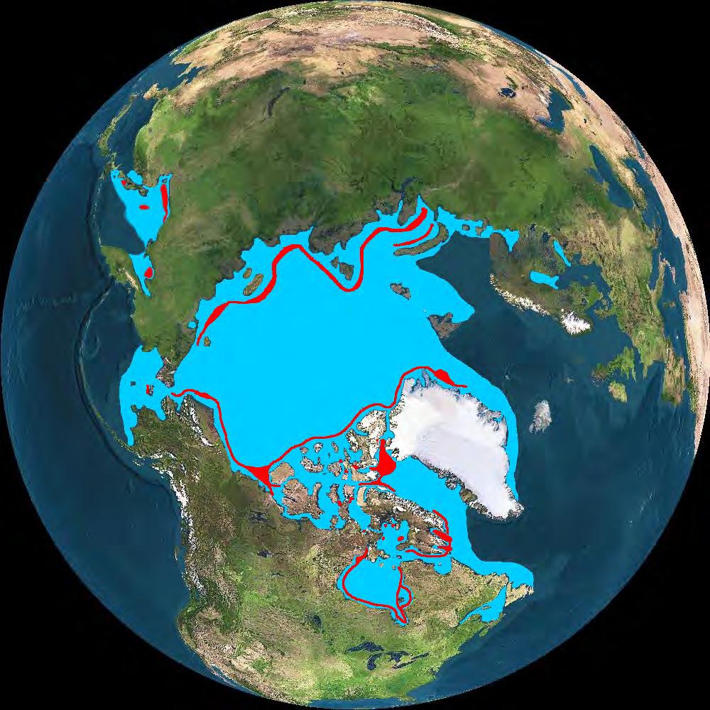 Okhostk Sea Polynyas Lead polynyas on Arctic shelves St-Lawrence Island Polynya