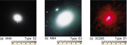 Elliptical Galaxies Range in shape from highly elongated to nearly circular in appearance Subdivided according to how elliptical
