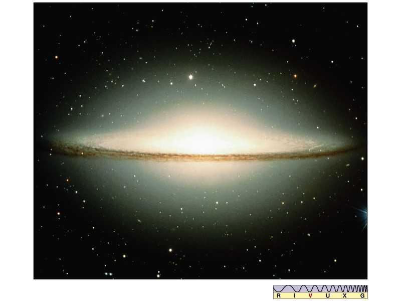 Other Types: Early type galaxies More bulge than