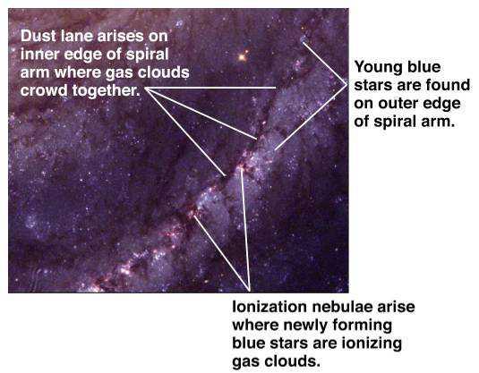 Spiral Arms The compression caused by density waves triggers star formation.