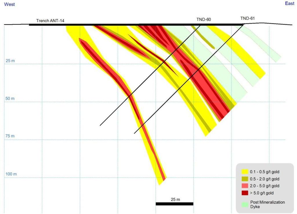 Recent Drill Results - Union North Cross Section - June 2014 Drill Program 19m @ 8.9 g/t gold, 66 g/t silver, 10.