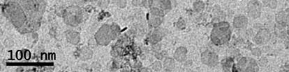 TEM image of synthetic