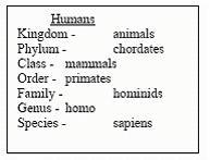 Objective 2 Organization of Living Systems - 8C - Biology (8) applications of taxonomy / 8C-characteristics of kingdoms Classification grouping objects according to their characteristics Taxonomy the