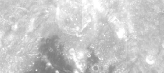Constellation Program Office Tier 2 Regions of Interest for Lunar Reconnaissance Orbiter Camera (LROC) Imaging