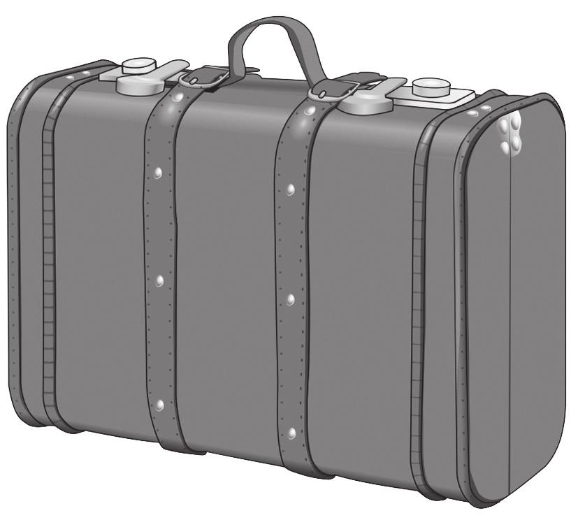 20 14. A company produces suitcases with dimensions 55 cm by 40 cm by 20 cm. The company has been asked to produce a new, smaller suitcase.