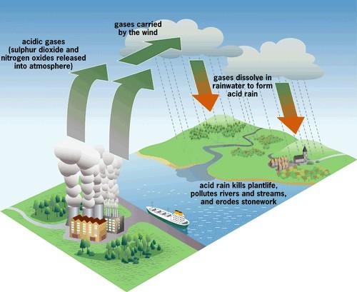 Global Consequences of the K/Pg impact Acid Rain Gases