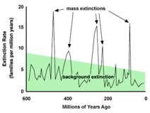 Earth has had several mass extinctions Background extinction rate: extinction usually occurs slowly, one species at a time Mass extinction events killed off massive numbers of species at once